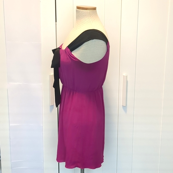 Aritzia Central Park West Pink and Black Silk Dress - Picture 5 of 10